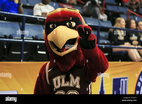 Beyond the Field: The UL Monrow Mascot's Role in Community Engagement